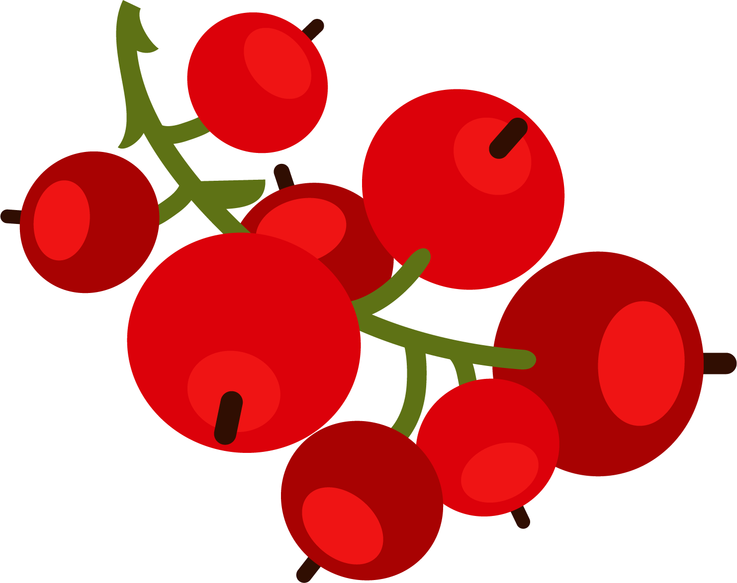 La groseille, fruit du mois d'août Notre sélection de fruits et légumes du mois d'Août