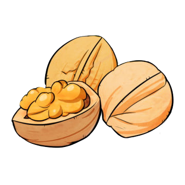 La noix, fruit du mois de novembre Notre sélection de fruits et légumes du mois de novembre