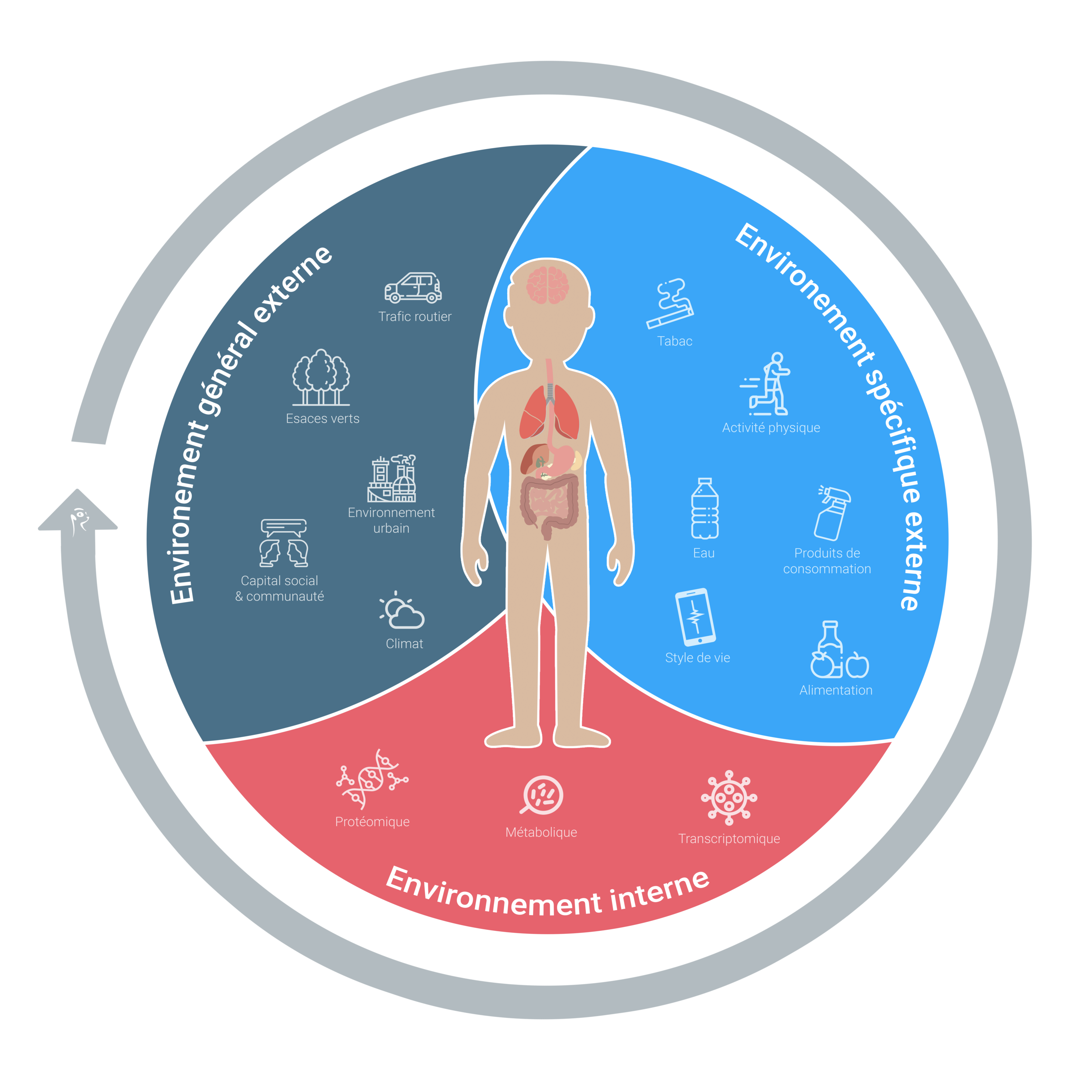 EXPOSOME