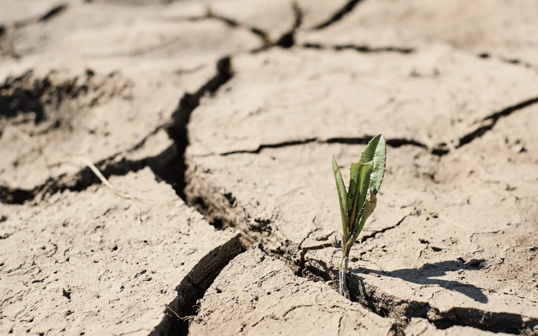 Water stress: a situation reinforced by global warming