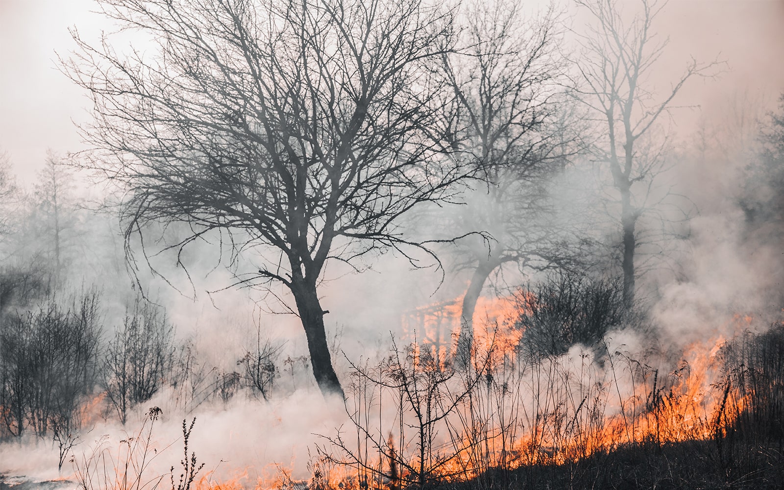 wildfires and health effects