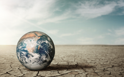 World Overshoot Day: an urgent call to action