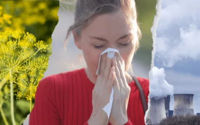 Pollen: Climate change, a factor increasing allergies