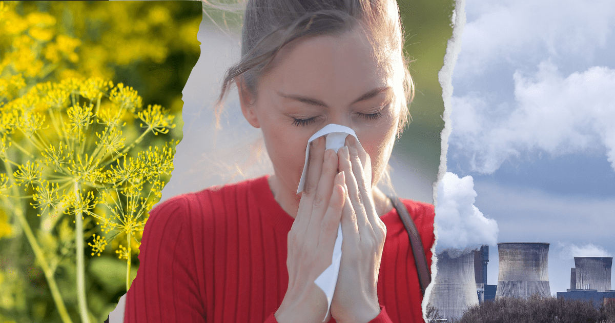 Pollen et changement climatique