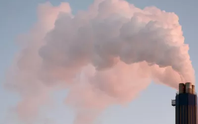 PM2.5 concentrations: only 7 countries meet WHO standards