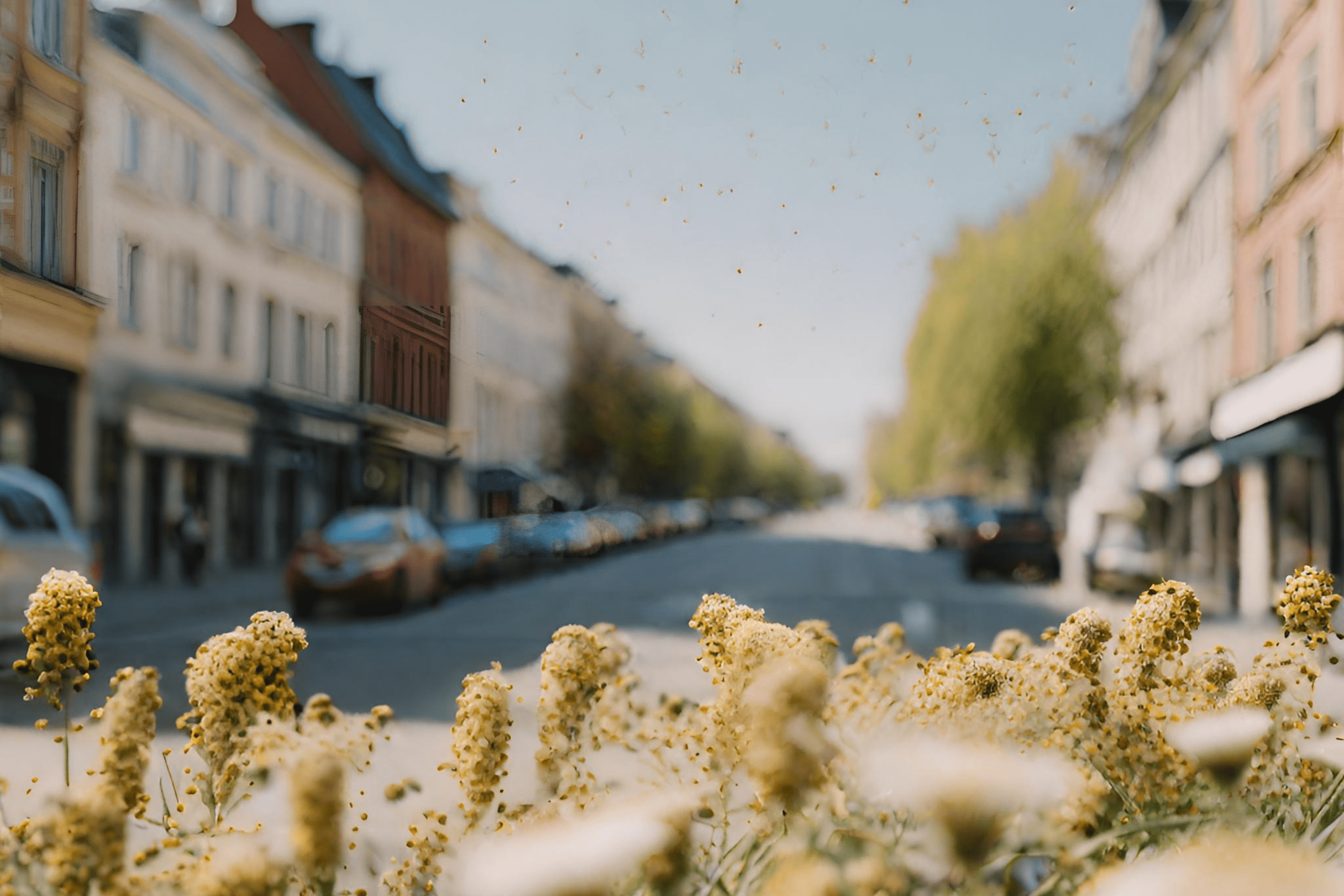 Données Pollen et Villes Intelligentes
