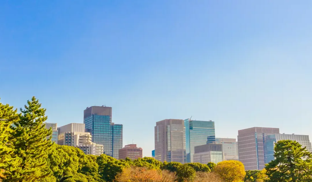 Pollen allergy cost: how pollen data revolutionize healthcare systems